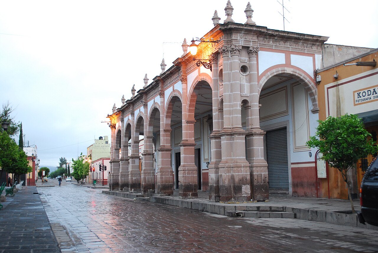 Portal Iguanazo en Jerez